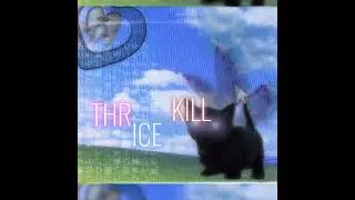 THRICE KILL