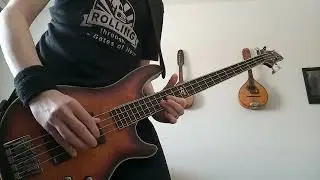 "Those Damned Blue-Collar Tweekers" Primus bass cover
