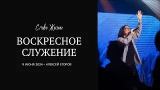 Алексей Егоров - 9 июня