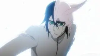 Bleach AMV - Ichigo vs Ulquiorra
