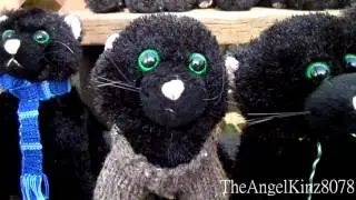 All of my Webkinz Black Cats 2016