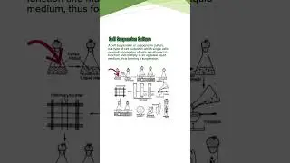 Cell Suspension Culture| Protocol| Hindi/Urdu #planttissueculture #conceptsofbotany