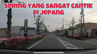 Sepanjang jalan dipenuhi dengan bunga yang cantik di Jepang