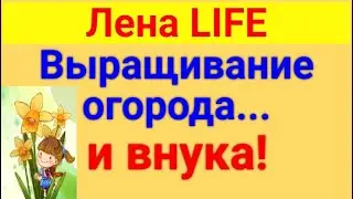 Лена LIFE. Обзор влогов. Бежали, "сломив ноги". 13 07 2024 Лена