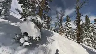 Skiing the trees with Steve and Ben