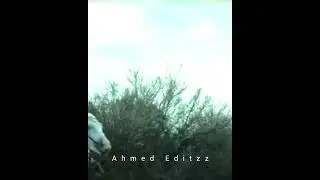 Suleyman Shah oglu Ertugrul 🔥