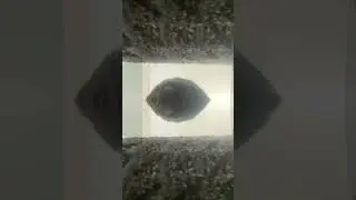 Multiverse test part 1