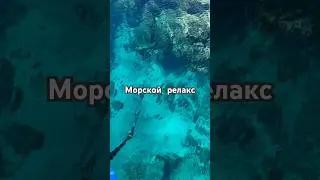 Морской музыкальный релакс 