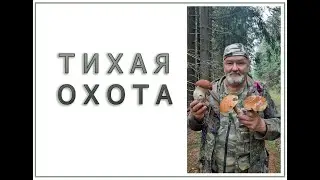 Тихая охота.
