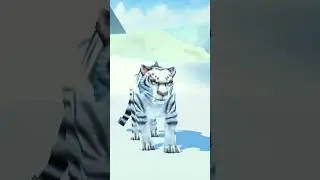 Tiger dance video tiger kids cartoon 