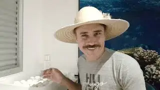 Tudo que você precisa saber para iniciar uma incubação artificial.