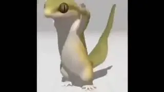 lizard dancing to first bit box