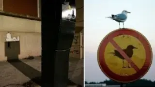 Doğru Zamanlanmış 12 Muteşem An