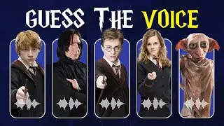 Guess The Character By Their Voice | Harry Potter Edition 🧙‍♂