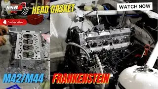 What Happened & Can I Have my M44 Head Gasket Ready for the next Race!