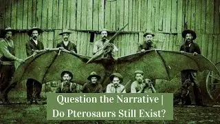 Question the Narrative | Do Pterosaurs Still Exist?