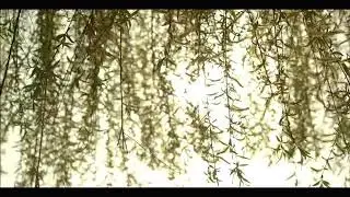 Егиз журек. Нур-Мукасан.