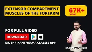 Understanding Upper Limb Anatomy: Extensor Compartment Muscles of the Forearm | Dr. Shrikant Verma