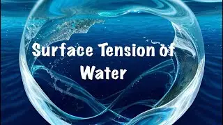 Practical Demonstration of Surface Tension of Water || Physics Activity
