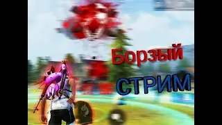 СТРИМ С ПК БОРЗЫЙ ВЕРНУЛСЯ