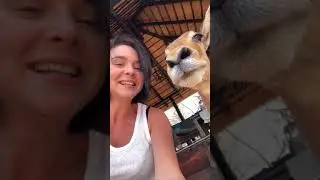 Safari South Africa October 2019