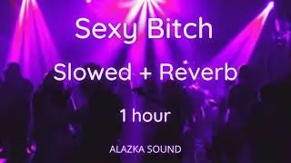 Sexy Bitch - David Guetta ft. Akon - Slowed + Reverb 1 hour