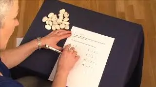 Year 1 Maths: simple division sums