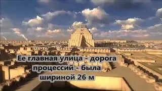 Урок 20. Книга Йоны