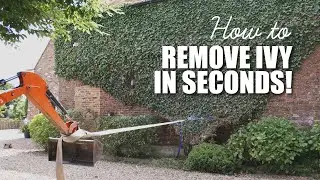 Ultimate Ivy Removal HACK! 😎😎 
