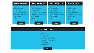 Responsive Business Card | Pure CSS | Flexbox CSS
