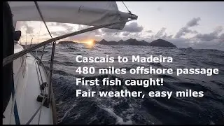 Sailing Cascais to Madiera - 480 mile passage - Dolphins, I catch skipjack tuna, Porto Santo arrival