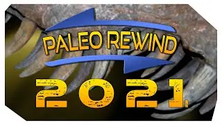 PaleoRewind 2021 - Year Of The Turtle Dragons