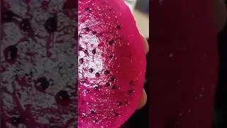 EATING PURPLE DRAGONFRUIT 