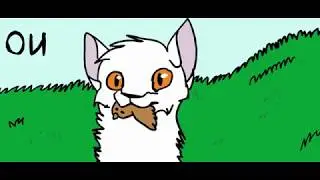 От котишки к воину