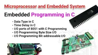 EE309 | Module VI | Class 9 | Embedded Programming in C | Data Type & Time Delay | KTU | EEE | S5