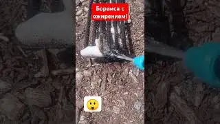 отъест жир или нет?|боремся с ожирением 