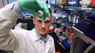 Cutting Edge Research for UC's Medical Scientist Training Program
