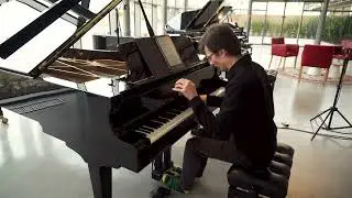 PIANO DEMO: Petrof 284 Mistral - Farewell
