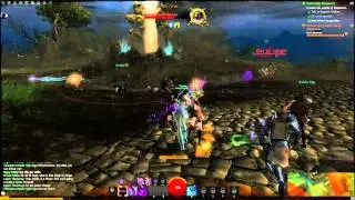 Guild Wars 2 Beta