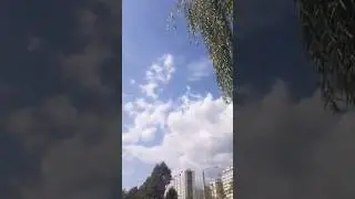 Ивушка! Ростов на Дону.
