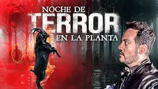 Visitamos la planta: el sitio más embrujado de México!