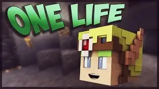 One Life: The Best Attempt.