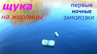 Щука на жерлицы, по первым морозам осенью!