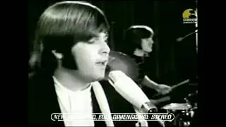 'GOOD VIBRATIONS' by THE BEACH BOYS, with electro-theremin (1969)