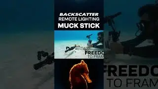 Remote Lighting Muck Stick #shorts
