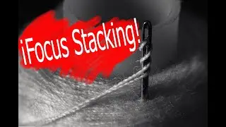 Como hacer focus stacking(apilacion)con ‼️photoshop‼️ en menos de un minuto con fotografía macro