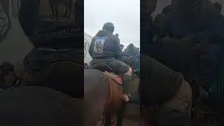 бузкаши маданият раҳимберди бо аспи дизел 11 03 23 🇹🇯🇸🇱🇰🇬🇰🇿👍