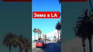 Зима В Лос Анджелесе 