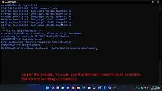 How to fix No internet connection issue on WSL Ubuntu