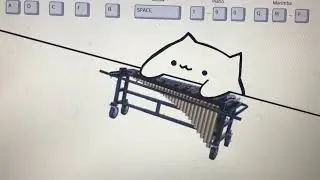 Playing a Chilling Tune in Bongo Cat